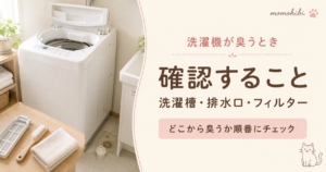 洗濯機の臭いを確認する洗濯槽と糸くずフィルター